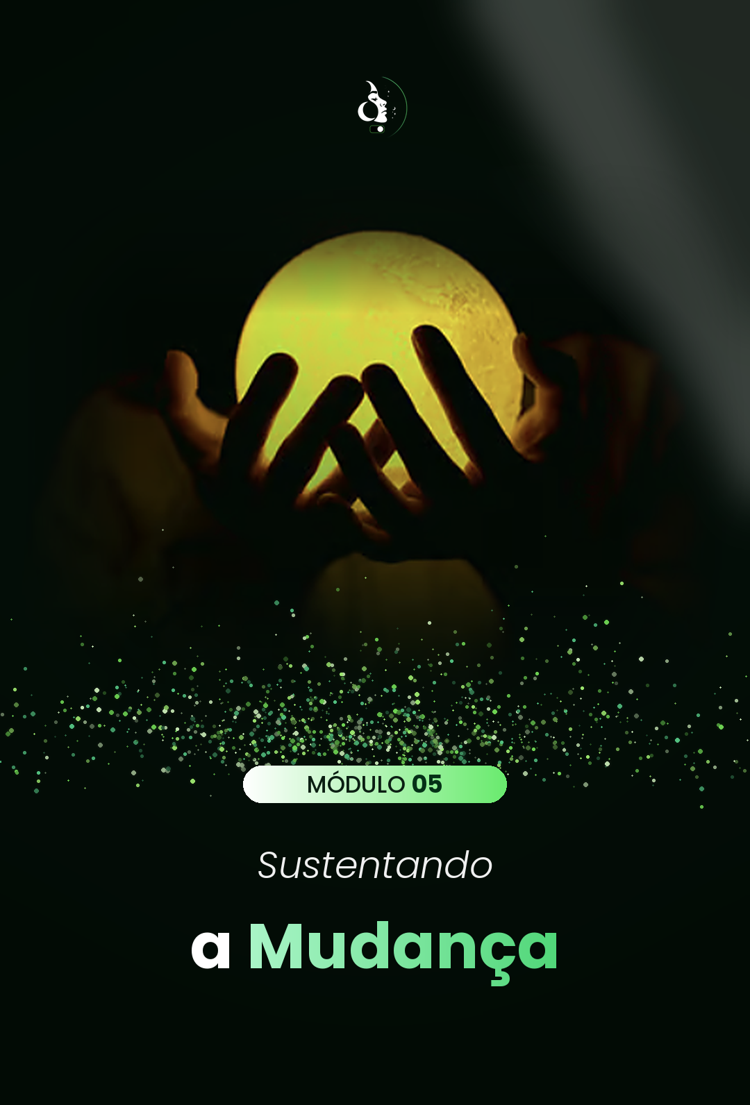 Módulo 5: Sustentando a Mudança